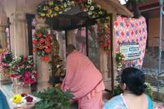 COLLEGE-PRZ-DIST-25-26-7